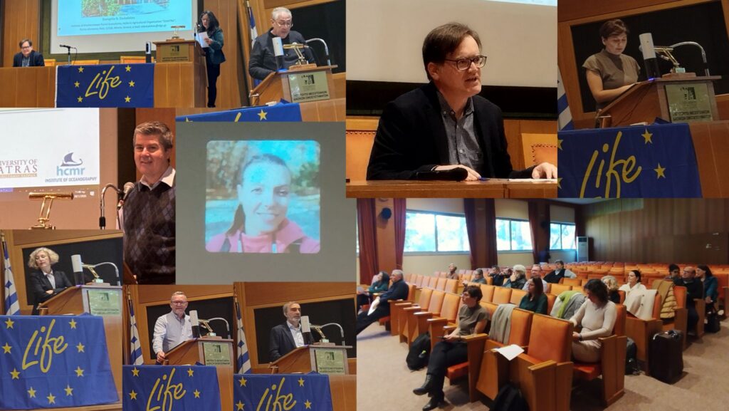 Kick-off Meeting