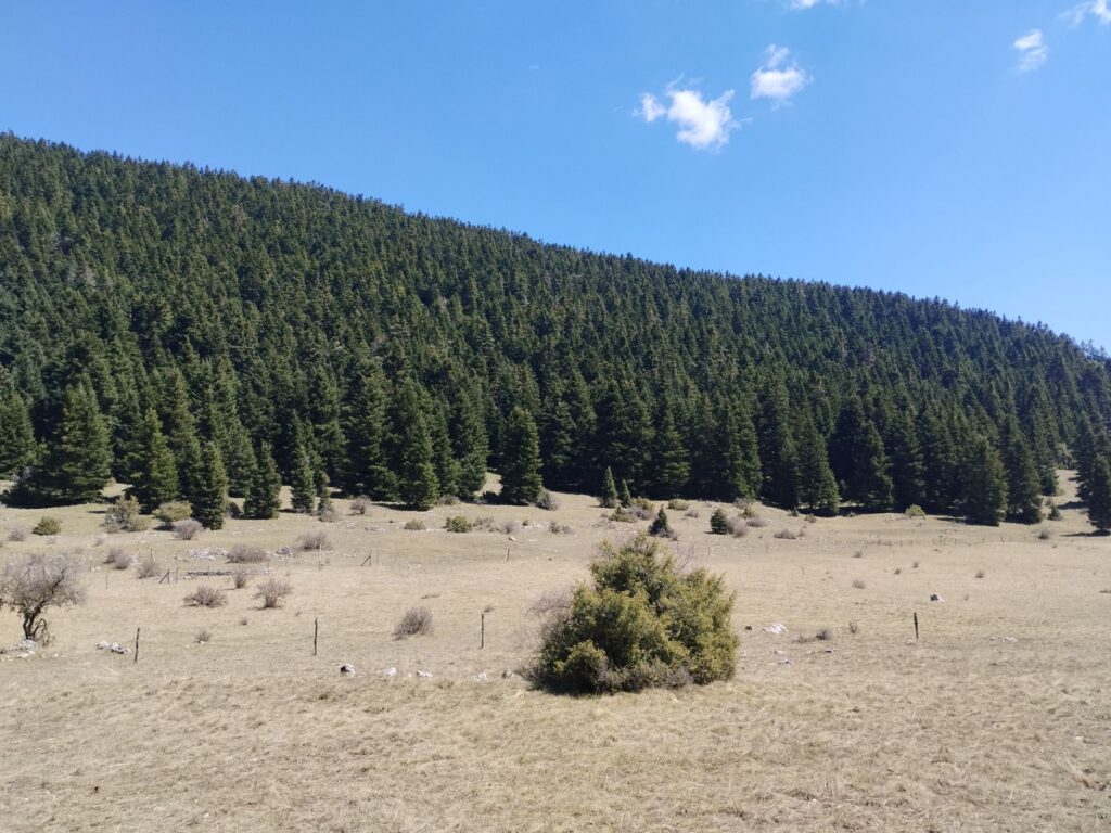 ELGO-DIMITRA Meeting with Arcadia Forest Authorities